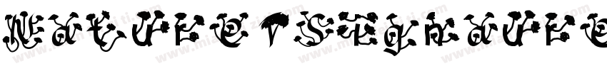 Nature Signaure字体转换